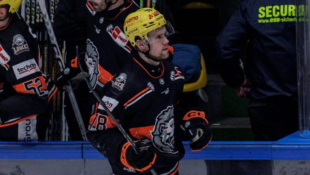 "Erfüllt mich mit viel Stolz": Bokk kehrt zu den Haien zurück